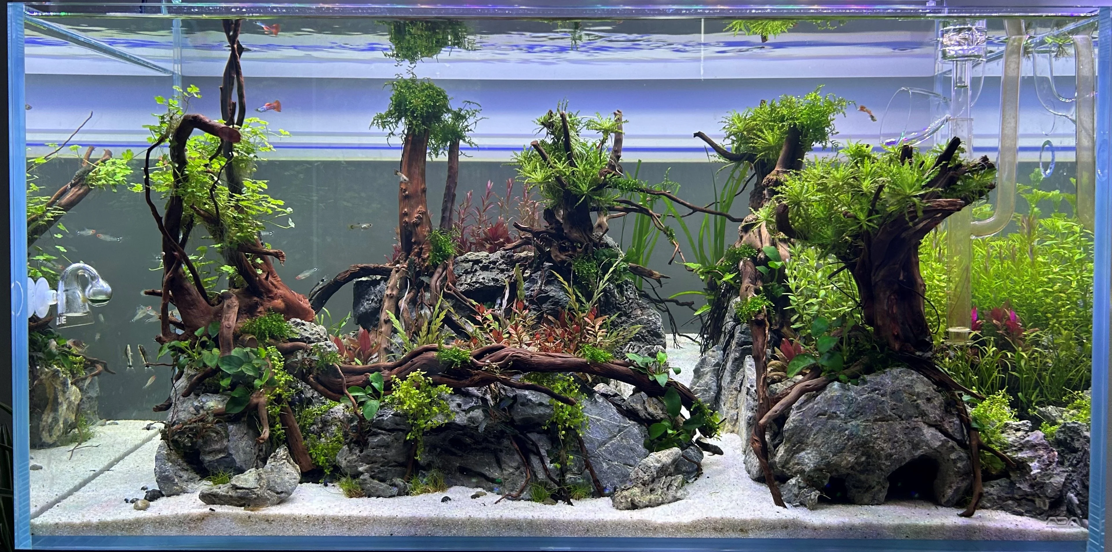 Akvarium.webp